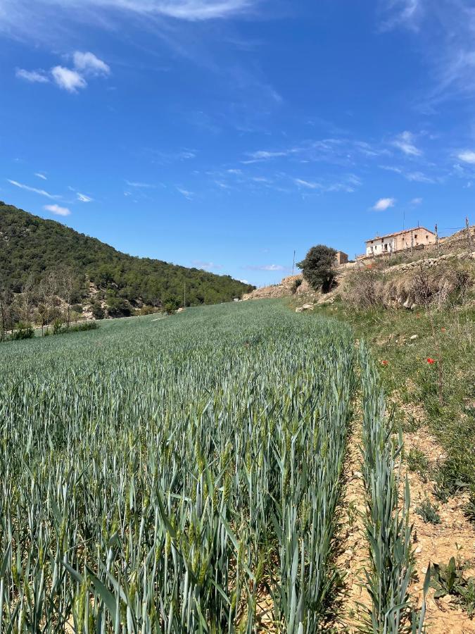 Masia La Perera Morella Kültér fotó